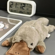 필통파우치 귀여운 봉제 오리너구리필통 동물인형필통